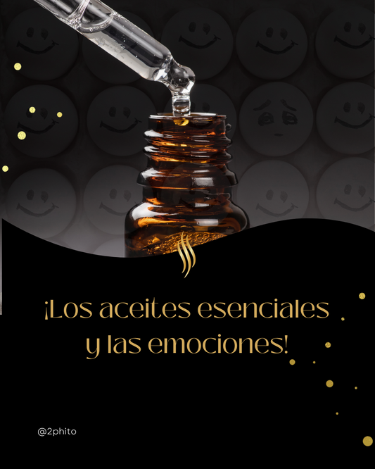 ¿Cómo los aromas mejoran tu estado de ánimo? Descubre el poder emocional de nuestras fragancias